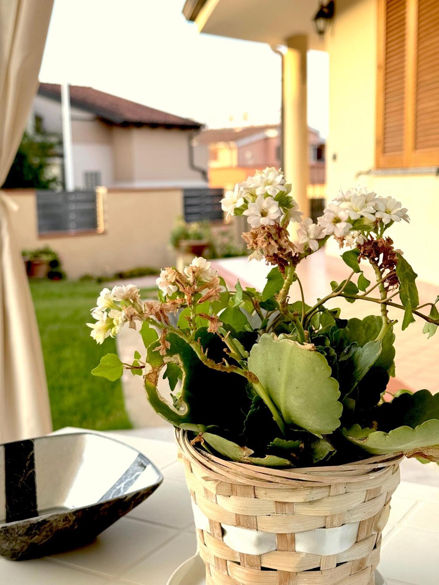 Rosa'S House - Zona Ospedaliera Lejlighed Cagliari Eksteriør billede